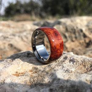 Two-Tone Ambonya